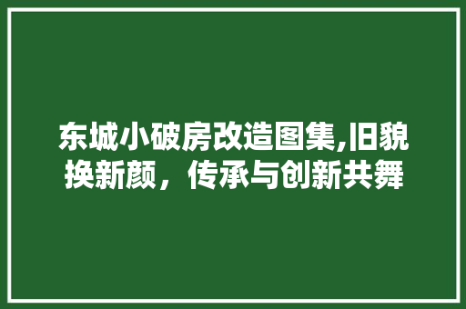 东城小破房改造图集,旧貌换新颜，传承与创新共舞