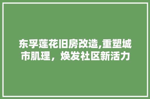 东孚莲花旧房改造,重塑城市肌理，焕发社区新活力 地面装修