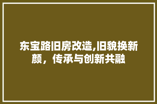 东宝路旧房改造,旧貌换新颜，传承与创新共融