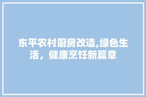 东平农村厨房改造,绿色生活，健康烹饪新篇章