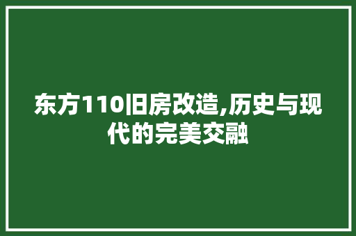 东方110旧房改造,历史与现代的完美交融
