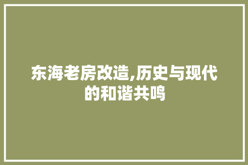 东海老房改造,历史与现代的和谐共鸣