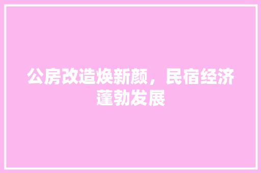 公房改造焕新颜，民宿经济蓬勃发展