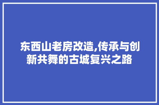东西山老房改造,传承与创新共舞的古城复兴之路