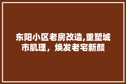 东阳小区老房改造,重塑城市肌理，焕发老宅新颜