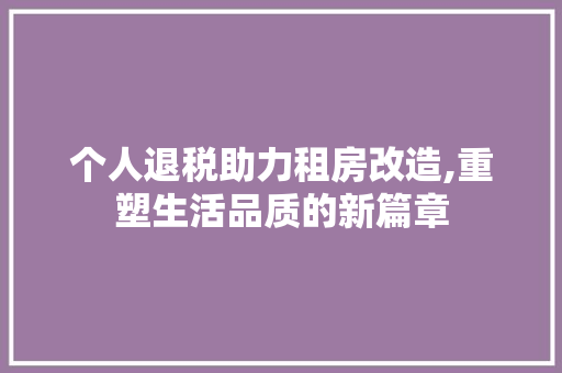 个人退税助力租房改造,重塑生活品质的新篇章