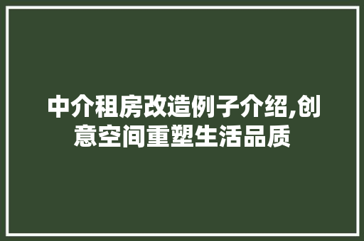 中介租房改造例子介绍,创意空间重塑生活品质