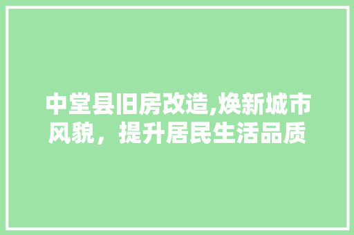 中堂县旧房改造,焕新城市风貌，提升居民生活品质