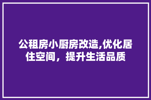 公租房小厨房改造,优化居住空间，提升生活品质