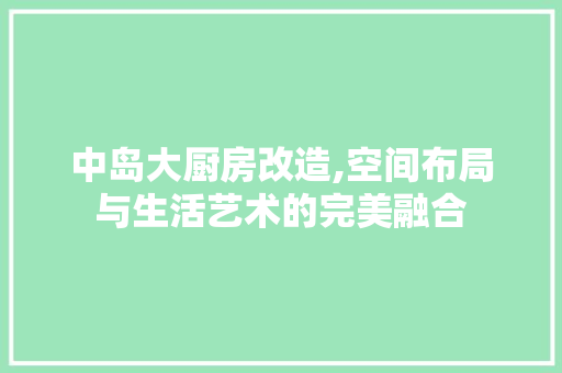 中岛大厨房改造,空间布局与生活艺术的完美融合