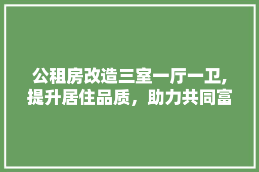 公租房改造三室一厅一卫,提升居住品质，助力共同富裕