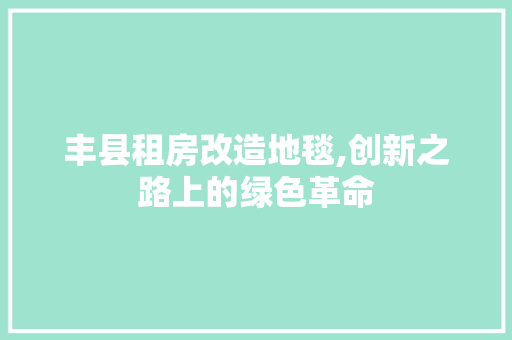 丰县租房改造地毯,创新之路上的绿色革命