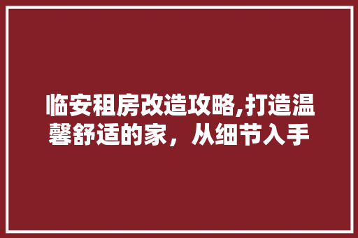 临安租房改造攻略,打造温馨舒适的家，从细节入手