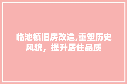 临池镇旧房改造,重塑历史风貌，提升居住品质