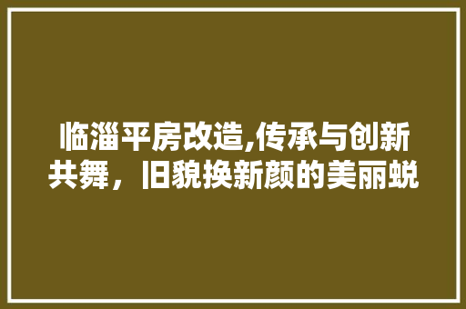 临淄平房改造,传承与创新共舞，旧貌换新颜的美丽蜕变