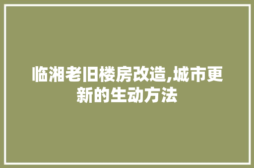 临湘老旧楼房改造,城市更新的生动方法
