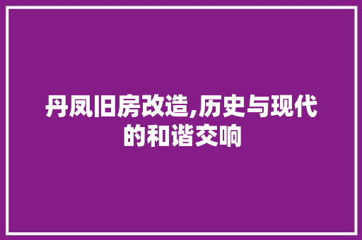 丹凤旧房改造,历史与现代的和谐交响