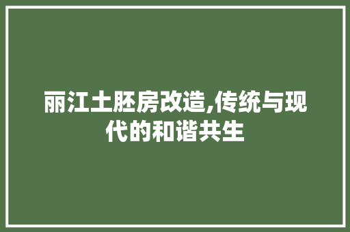 丽江土胚房改造,传统与现代的和谐共生 庭院装修
