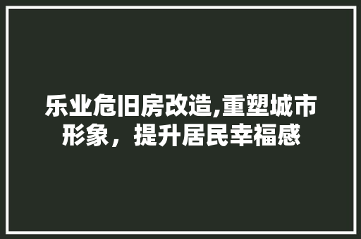 乐业危旧房改造,重塑城市形象，提升居民幸福感