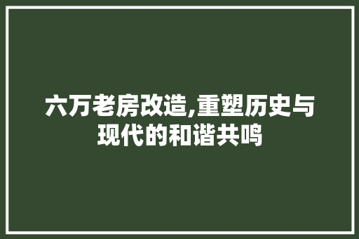 六万老房改造,重塑历史与现代的和谐共鸣
