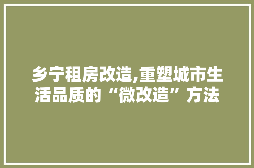 乡宁租房改造,重塑城市生活品质的“微改造”方法 地面装修 乡宁租房改造,重塑城市生活品质的“微改造”方法 地面装修