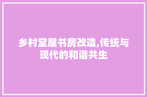 乡村堂屋书房改造,传统与现代的和谐共生