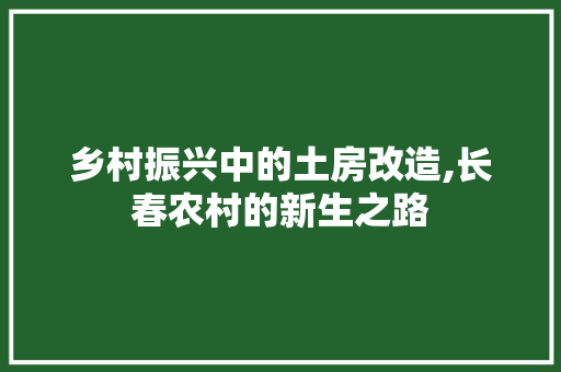 乡村振兴中的土房改造,长春农村的新生之路 景观设计