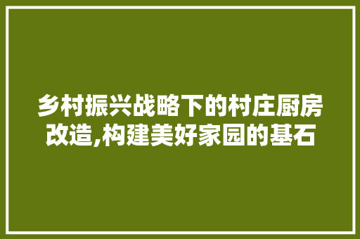 乡村振兴战略下的村庄厨房改造,构建美好家园的基石