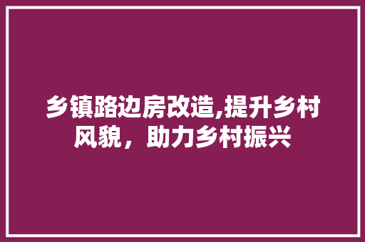乡镇路边房改造,提升乡村风貌，助力乡村振兴