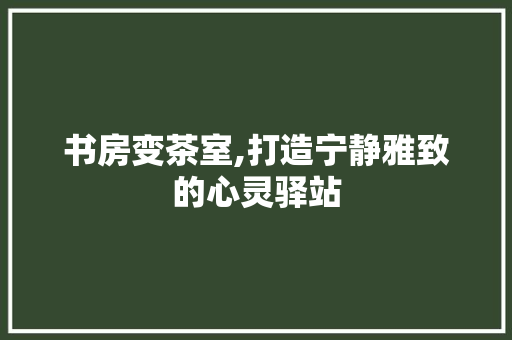 书房变茶室,打造宁静雅致的心灵驿站