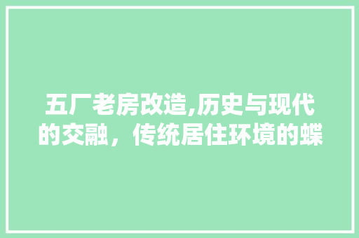 五厂老房改造,历史与现代的交融，传统居住环境的蝶变