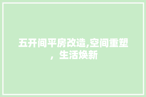 五开间平房改造,空间重塑，生活焕新
