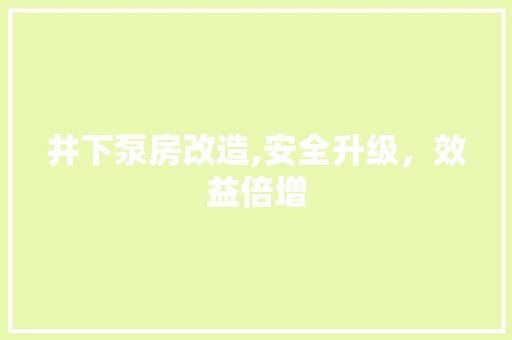 井下泵房改造,安全升级，效益倍增