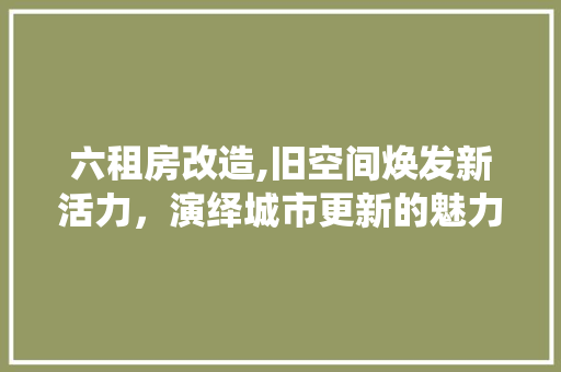 六租房改造,旧空间焕发新活力，演绎城市更新的魅力篇章