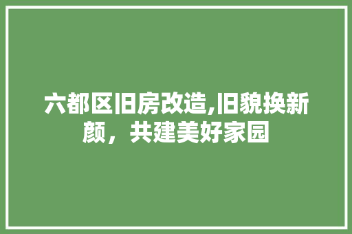六都区旧房改造,旧貌换新颜，共建美好家园