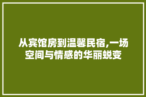 从宾馆房到温馨民宿,一场空间与情感的华丽蜕变