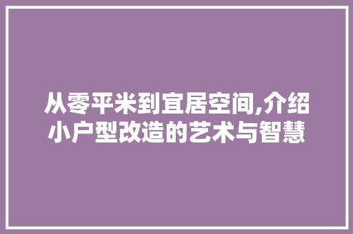 从零平米到宜居空间,介绍小户型改造的艺术与智慧
