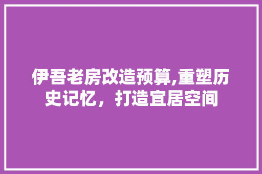 伊吾老房改造预算,重塑历史记忆，打造宜居空间