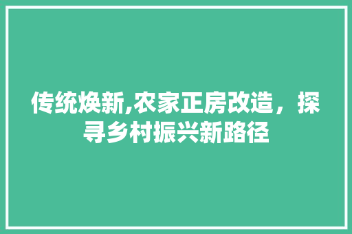 传统焕新,农家正房改造，探寻乡村振兴新路径