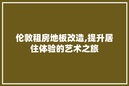 伦敦租房地板改造,提升居住体验的艺术之旅