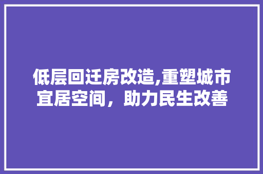 低层回迁房改造,重塑城市宜居空间，助力民生改善