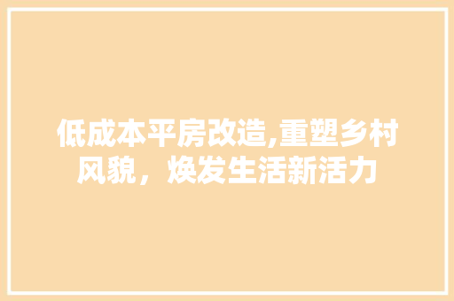 低成本平房改造,重塑乡村风貌，焕发生活新活力