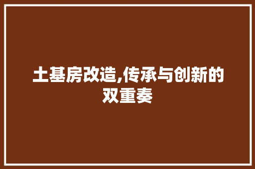 土基房改造,传承与创新的双重奏