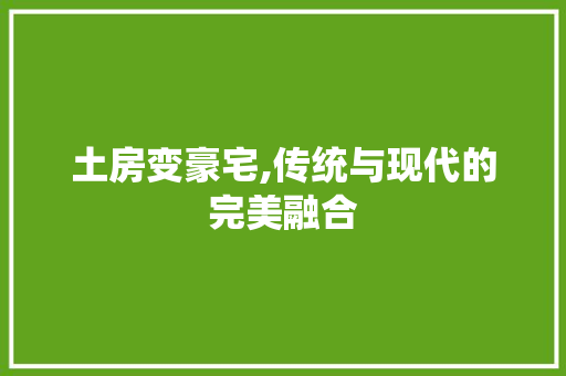 土房变豪宅,传统与现代的完美融合 建筑设计