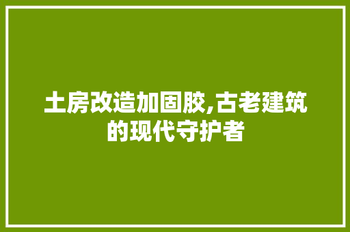 土房改造加固胶,古老建筑的现代守护者 门窗装修