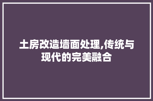 土房改造墙面处理,传统与现代的完美融合