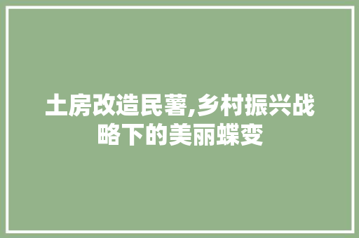 土房改造民薯,乡村振兴战略下的美丽蝶变