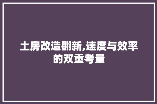 土房改造翻新,速度与效率的双重考量