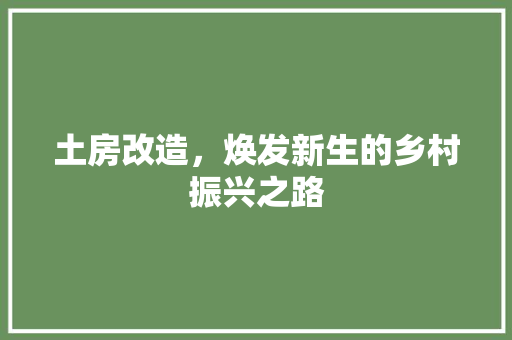 土房改造，焕发新生的乡村振兴之路
