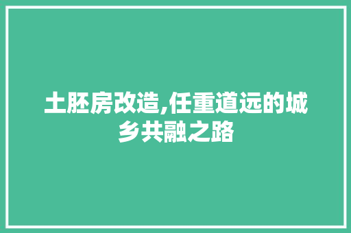 土胚房改造,任重道远的城乡共融之路 建筑设计